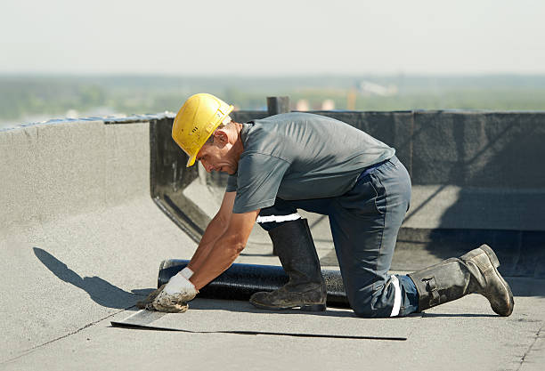 Best Attic Insulation Installation  in Holmen, WI